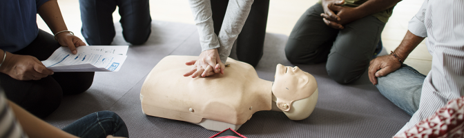 Group of employees doing CPR training