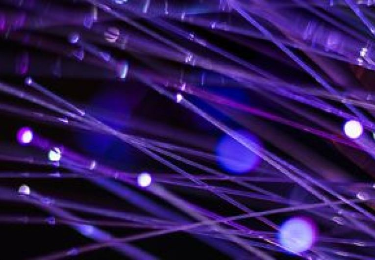 close up of purple fiber optics