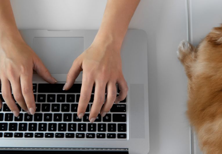 working on a laptop at home with small dog on desk